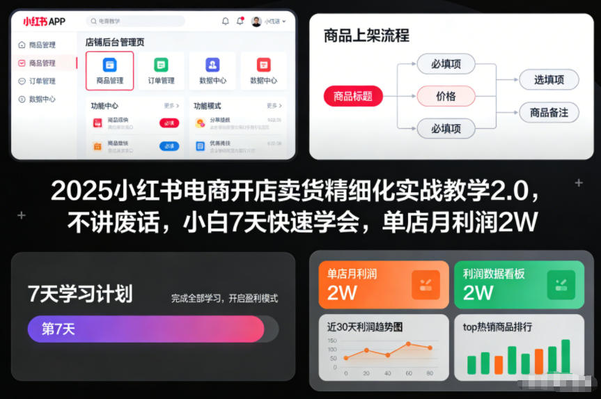 2025小红书电商开店卖货精细化实战教学2.0，不讲废话，小白7天快速学会，单店月利润2W-heixxmi