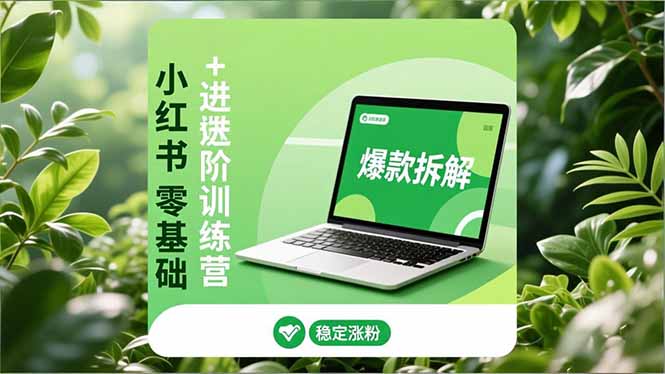 小红书零基础+高阶训练营：安全养号、爆款拆解、长效运营，实现稳定涨粉与变现-heixxmi