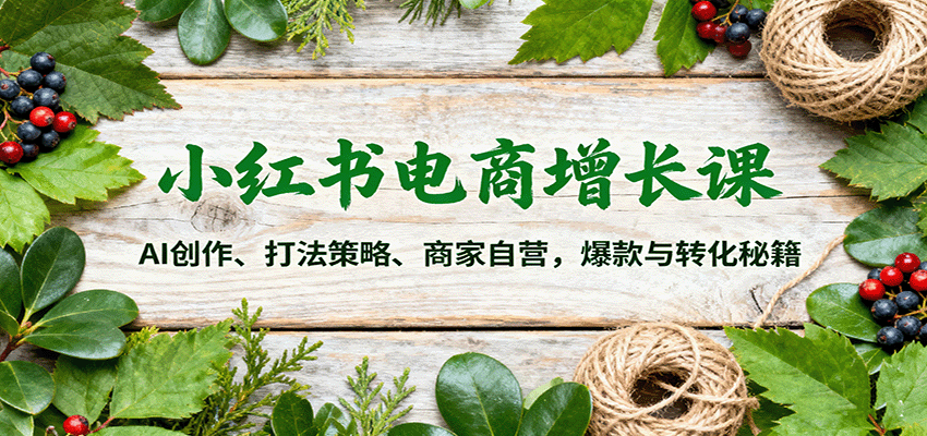 小红书电商增长课：AI创作、打法策略、商家自营，爆款与转化秘籍-heixxmi