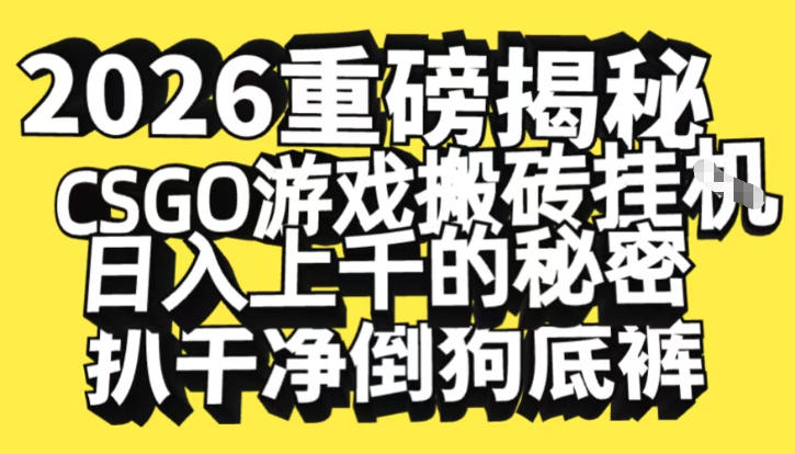 2026开年重磅解密，CSGO游戏搬砖挂G日入1k+的秘密，把倒狗的底裤扒干【揭秘】-heixxmi