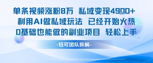 单条视频私域变现4.9k+利用AI做私域玩法 已经开始火热0基础也能做的副业项目轻松上手-heixxmi