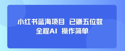 小红书蓝海项目，全程AI，操作简单，已挣五位数-heixxmi