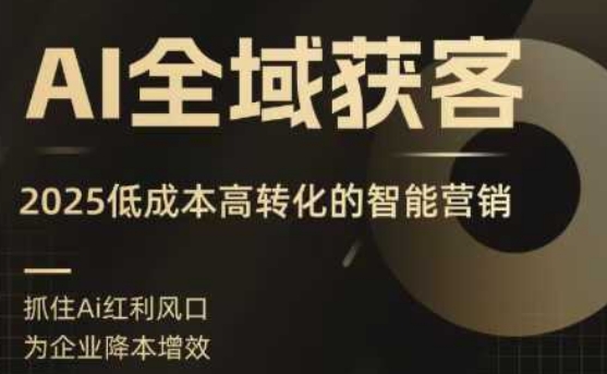AI全域获客实训营，2025低成本高转化的智能营销，精准找客，高效营销-heixxmi