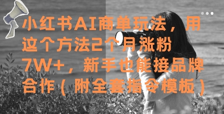 小红书AI商单玩法，用这个方法2个月涨粉7W+，新手也能接品牌合作(附全套指令模板)-heixxmi
