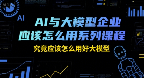 AI与大模型企业应该怎么用系列课程，究竟应该怎么用好大模型-heixxmi