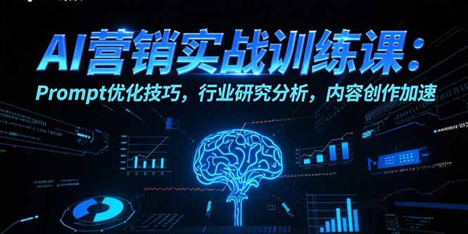 AI营销实战训练课：Prompt优化技巧，行业研究分析，内容创作加速-heixxmi