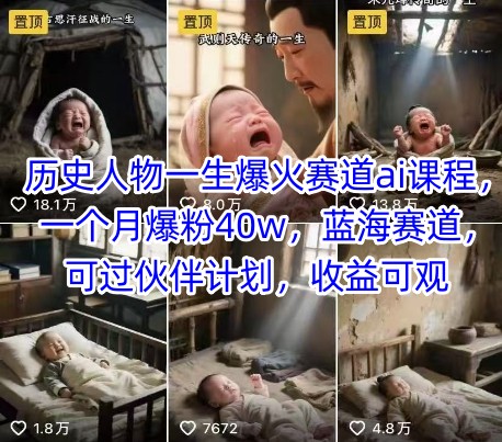 历史人物一生爆火赛道ai课程，一个月爆粉40w，蓝海赛道，可过伙伴计划，收益可观-heixxmi