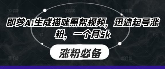 即梦AI生成猫咪黑帮视频，迅速起号涨粉，一个月5k-heixxmi