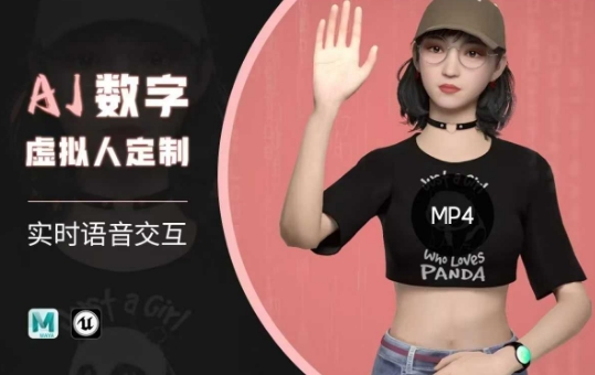 Ai数字人虚拟(智能体)实时语音交互特训营，​自行定制超写实角色AI数字人交互技术-heixxmi