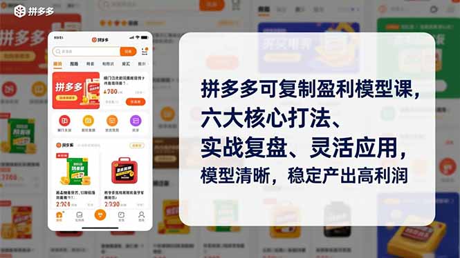 拼多多可复制盈利模型课，六大核心打法、实战复盘、灵活应用，模型清晰，稳定产出高利润-heixxmi