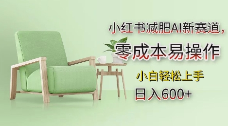 小红书减肥AI新赛道，零成本易操作，日入多张，小白轻松上手【揭秘】-heixxmi