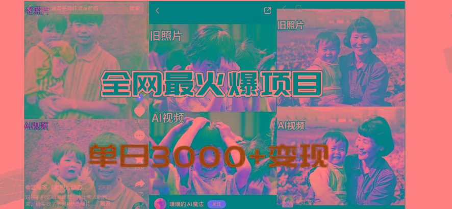 全网爆火的AI让老照片动起来教程，蹭热点日赚3000+，内含免费工具一键...-heixxmi