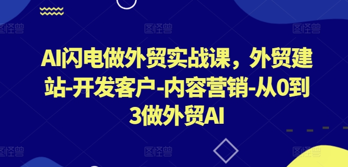 AI闪电做外贸实战课，​外贸建站-开发客户-内容营销-从0到3做外贸AI(更新)-heixxmi