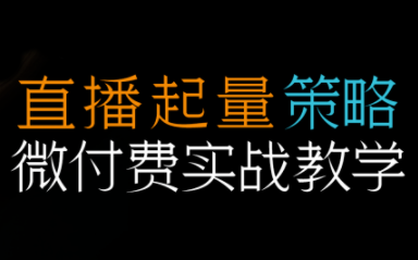 半野老师·直播带货起量与微付费必学课视频号-heixxmi