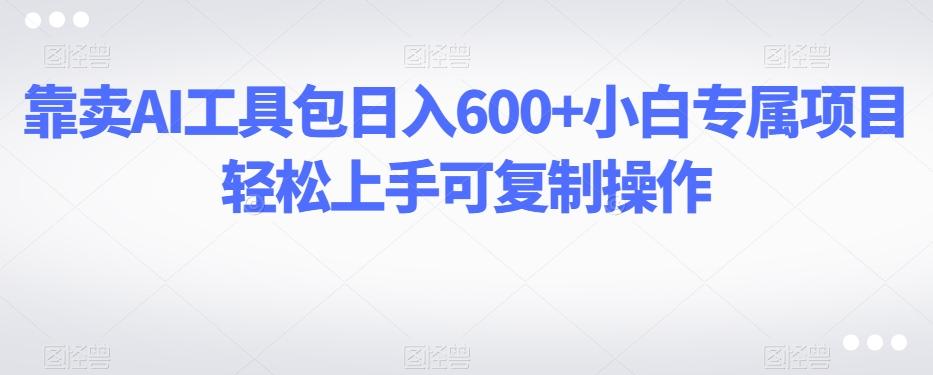 靠卖AI工具包日入600+小白专属项目轻松上手可复制操作-heixxmi
