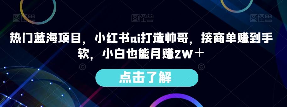 热门蓝海项目，小红书ai打造帅哥，接商单赚到手软，小白也能月赚2W＋-heixxmi
