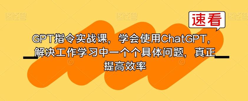 GPT指令实战课，学会使用ChatGPT，解决工作学习中一个个具体问题，真正提高效率-heixxmi