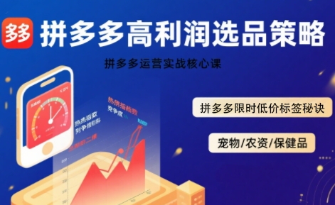 拼多多选品暴利技术实战课，拼多多高利润选品策略，拼多多限时低价标签秘诀-heixxmi