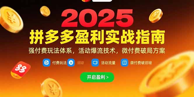 拼多多盈利实战指南，强付费玩法，活动爆流技术，微付费破局方案(更新7月-heixxmi