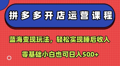 拼多多开店运营课程：蓝海变现玩法，轻松实现睡后收入，零基础小白也可日入5张-heixxmi