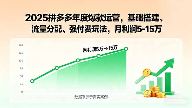 2025拼多多年度爆款运营，基础搭建、流量分配、强付费玩法，月利润5-15万-heixxmi