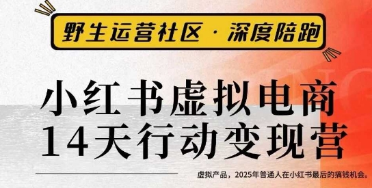 小红书虚拟电商14天变现训练营3.0，​虚拟产品，2025年普通人在小红书最后的搞钱机会-heixxmi