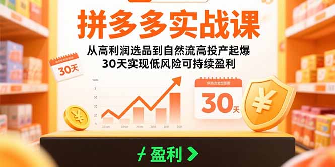 拼多多实战课：从高利润选品到自然流高投产起爆 30天实现低风险可持续盈利-heixxmi