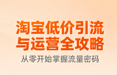 淘宝低价引流与运营全攻略(更新9月)-heixxmi