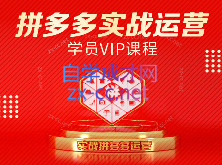 推易电商·拼多多实战运营课(更新2025月)-heixxmi