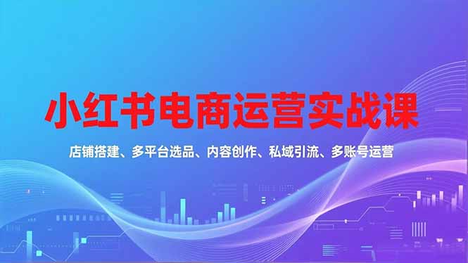 小红书电商运营实战课，店铺搭建、多平台选品、内容创作、私域引流、多账号运营等玩法-heixxmi