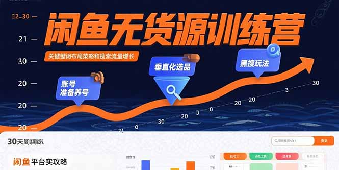 闲鱼无货源训练营：账号准备养号/垂直化选品/黑搜玩法，0基础30天盈利指南-heixxmi