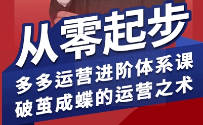 拼多多运营进阶系统课，从零起步，多多运营进阶体系课，破茧成蝶的运营之术-heixxmi