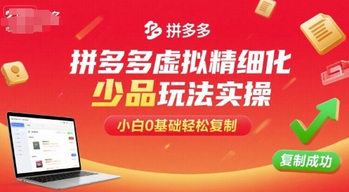 拼多多虚拟精细化少品玩法实操，小白0基础轻松复制-heixxmi