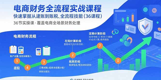 电商财务全流程实战课程：快速掌握从建账到报税的全流程技能(36节课-heixxmi