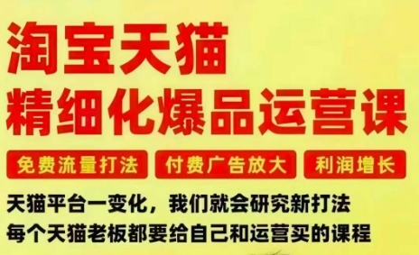 淘宝天猫精细化爆品运营课，免费流量打法-付费广告放大-利润增长-三大核心痛点，一次全部解决-heixxmi
