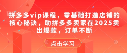 拼多多vip课程，零基础打造店铺的核心秘诀，助拼多多卖家在2025卖出爆款，订单不断-heixxmi