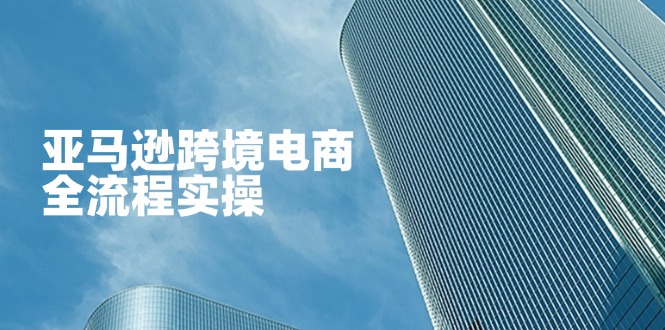 亚马逊跨境电商全流程实操，教你从零开始，掌握店铺运营与广告技巧-heixxmi
