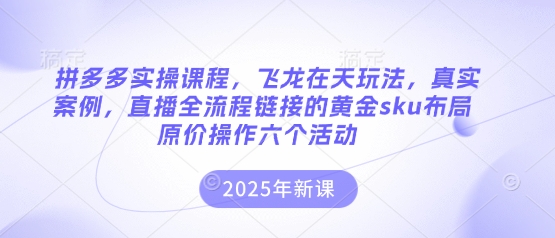 拼多多实操课程，飞龙在天玩法，真实案例，直播全流程链接的黄金sku布局原价操作六个活动-heixxmi