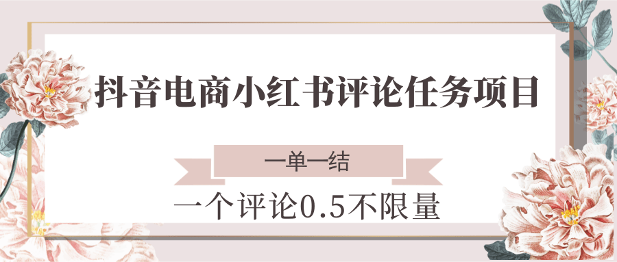 抖音电商小红书评论任务项目，一个评论0.5，一单一结 不限量-heixxmi