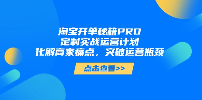 淘宝开单秘籍PRO，定制实战运营计划，化解商家痛点，突破运营瓶颈-heixxmi