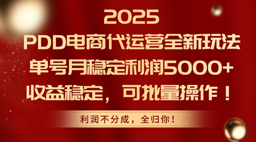 2025PDD电商代运营全新玩法，单号月稳定利润5000+，收益稳定，可批量操作-heixxmi