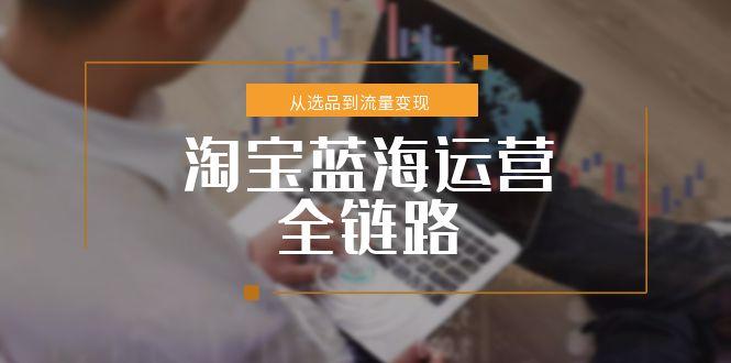 淘宝蓝海运营全链路，从选品到流量变现，小类目突围完整方案-heixxmi