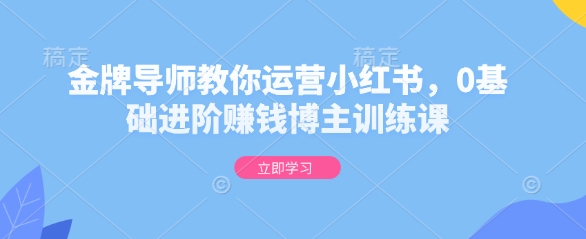 金牌导师教你运营小红书，0基础进阶赚钱博主训练课-heixxmi