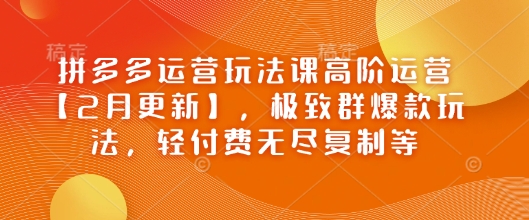 拼多多运营玩法课高阶运营【2月更新】，极致群爆款玩法，轻付费无尽复制等-heixxmi