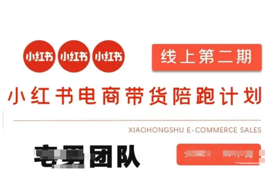 小红书电商带货课2期，月利润20个的小红书电商的有货源，无货源，虚拟产品，付费投流等整套玩法-heixxmi