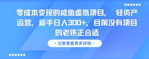 零成本变现的咸鱼虚拟项目， 轻资产运营，新手日入3张+，目前没有项目的老铁正合适-heixxmi