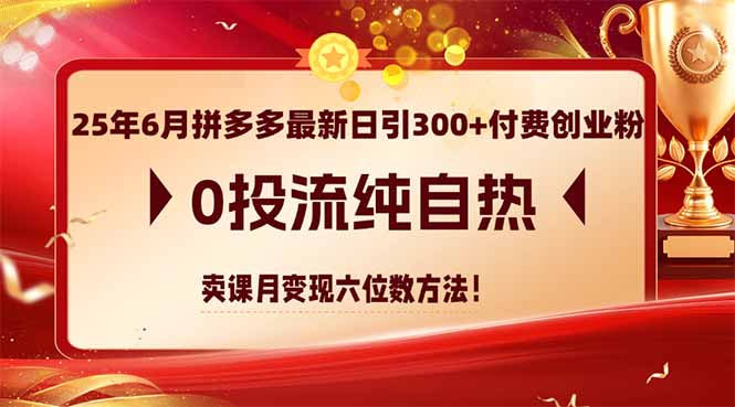 25年6月拼多多最新日引300+付费创业粉，0投流纯自热 卖课月变现六位数方法-heixxmi