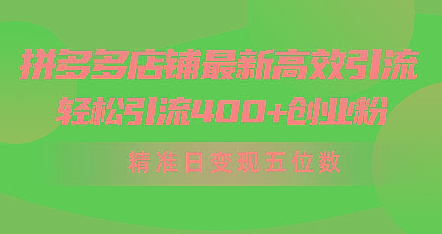 (10041期)拼多多店铺最新高效引流术，轻松引流400+创业粉，精准日变现五位数！-heixxmi
