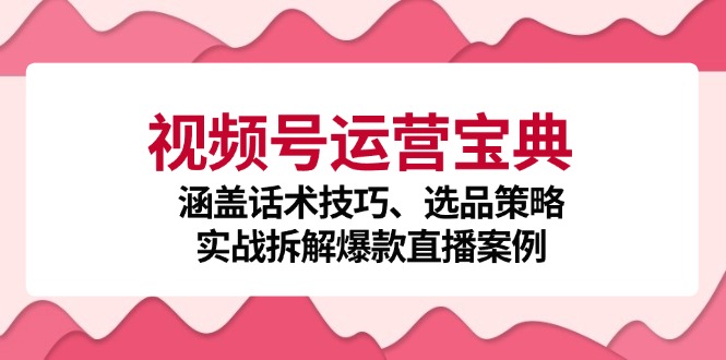 视频号运营宝典：涵盖话术技巧、选品策略、实战拆解爆款直播案例-heixxmi