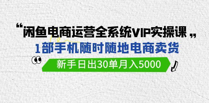 (9547期)闲鱼电商运营全系统VIP实战课，1部手机随时随地卖货，新手日出30单月入5000-heixxmi